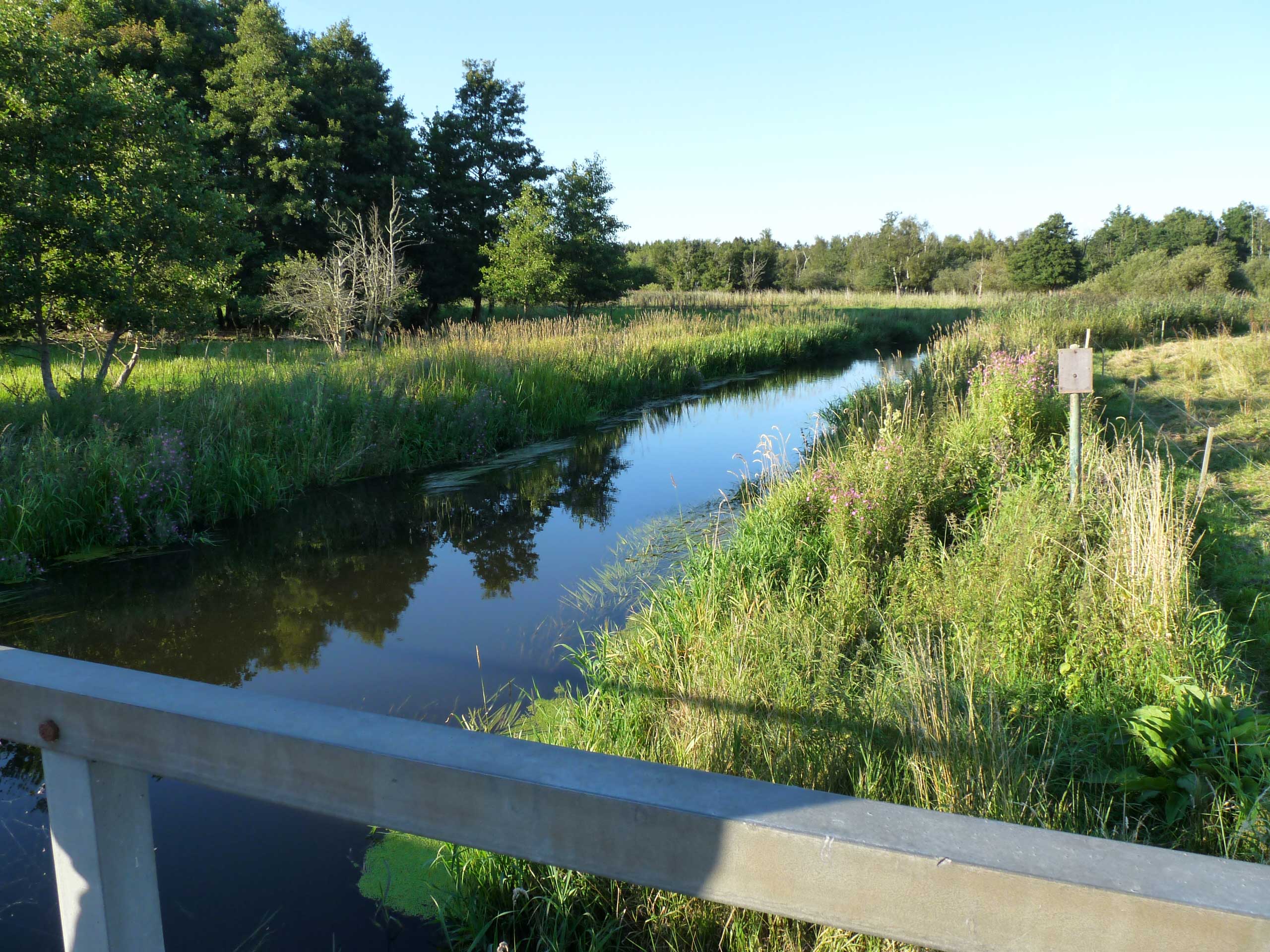 2012-Alling-Å-ved-Nybro.jpg